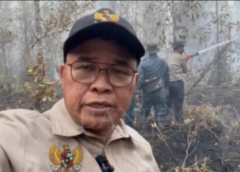 Ini Kata Wamen LHK Soal Gosip Pernah Ditampar Dan Dicekik Di Rapat Food Estate