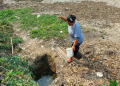 Seorang warga Kasemen, Kota Serang tengah mengambil air di sumur buatan untuk kebutuhan sehari-hari.