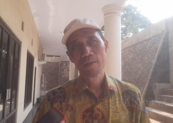PKS Minta Helldy Profesional