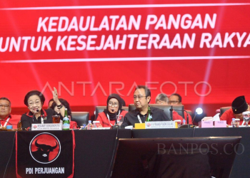 (Foto Istimewa) PDI Perjuangan Megawati Soekarnoputri