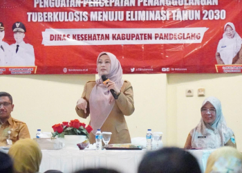 Bupati Pandeglang, Irna Narulita saat memberikan sambutan.