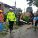 Petugas BPBD melakukan sterilisasi lokasi terjadinya pohon tumbang