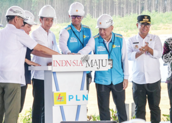 PLTS Di IKN Nusantara Pionir Pembangkit EBT
