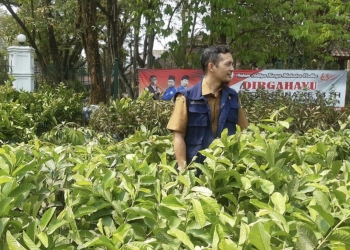 Distan Lebak Awasi Penyedia Pupuk Subsidi Kementan