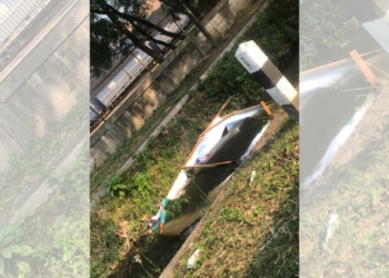 dokumentasi baleho Robinsar-Fajar dalam kondisi rusak.