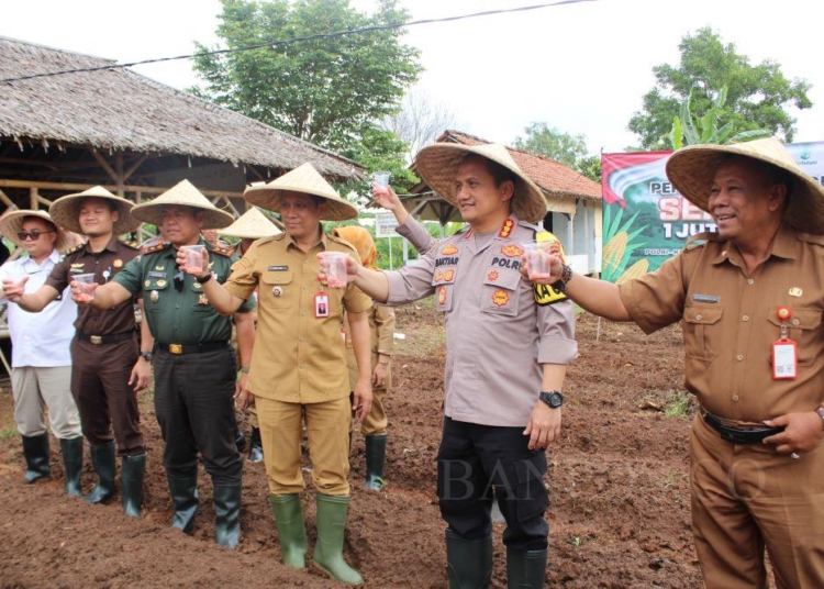 Desa Sodong Jadi Pusat Tanaman Jagung Nasional di Tangerang 