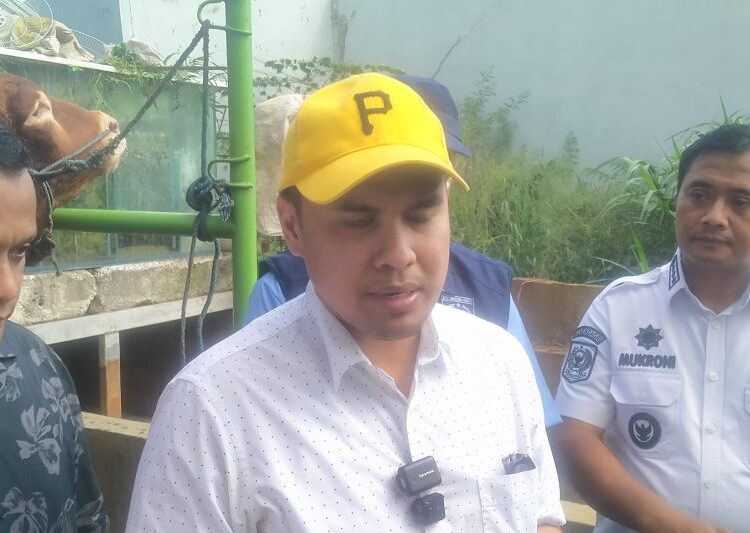 Ini Kata Pemkot Tangsel Soal Putusan MK yang Menggratiskan SD-SMP Negeri dan Swasta